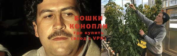 каннабис Покачи