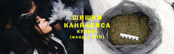 Альфа ПВП Валдай