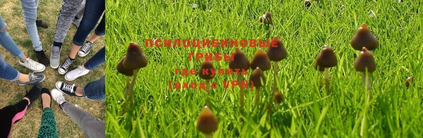 гашишное масло Абдулино