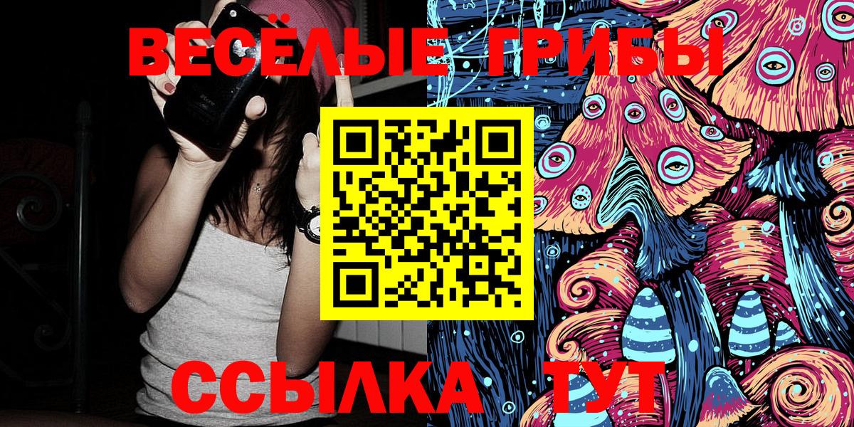 Галлюциногенные грибы мухоморы Курчатов