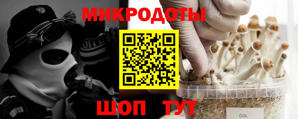 Псилоцибиновые грибы GOLDEN TEACHER  Вход с VPN  Галлюциногенные грибы прущие грибы  Курчатов 